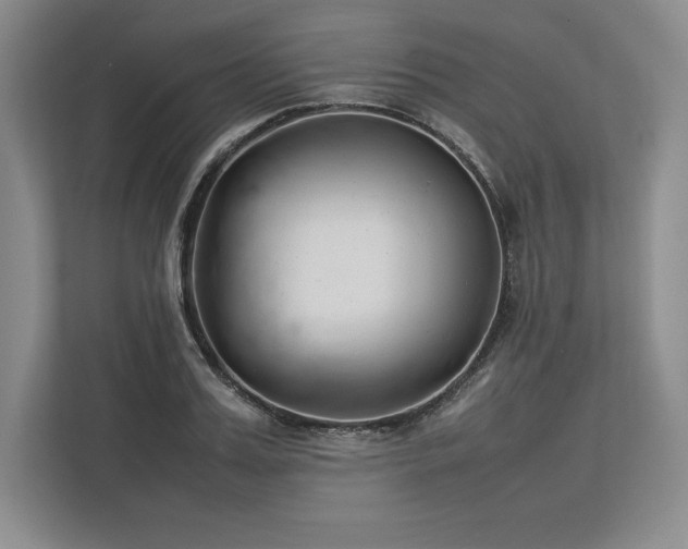X0000113350987200909221140