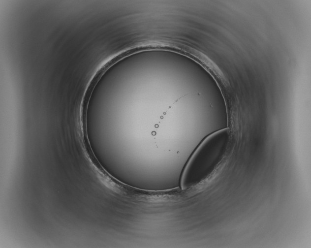 X0000113350988200909221140