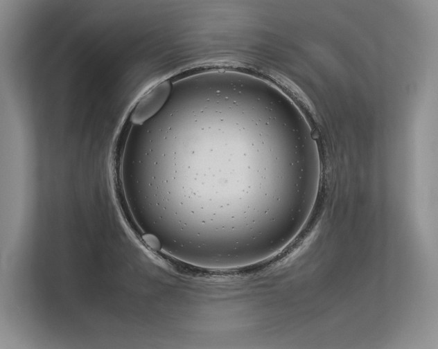 X0000113350989200909221140