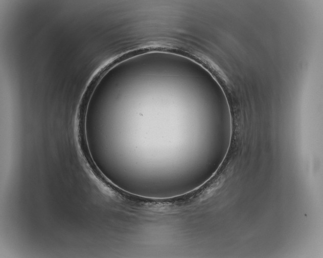 X0000113350991200909221140