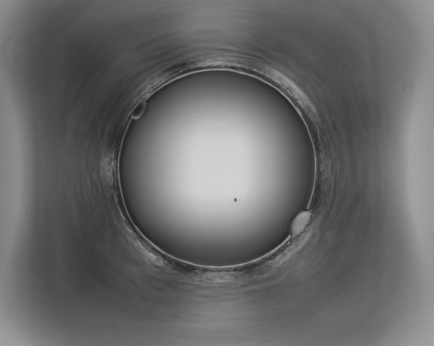 X0000113350993200909221140