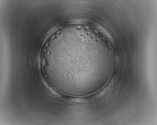 X0000113350994200909221140