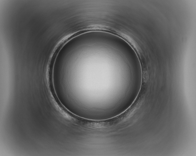 X0000113350995200909221140