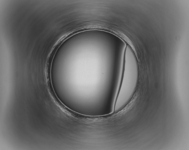X0000113350997200909221140