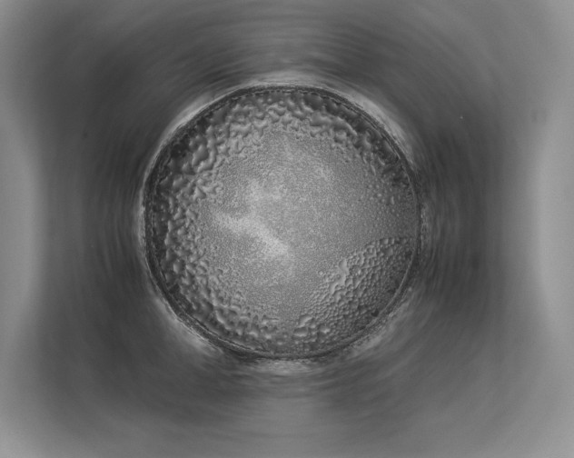 X0000113350998200909221140