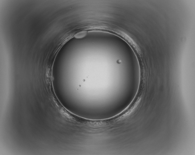 X0000113351001200909221140