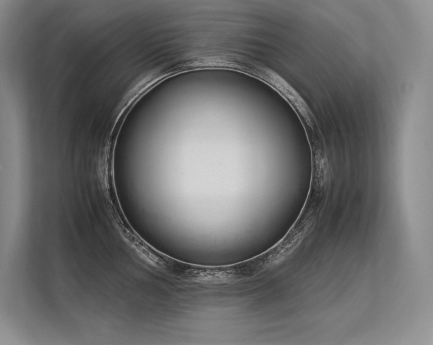 X0000113351002200909221140