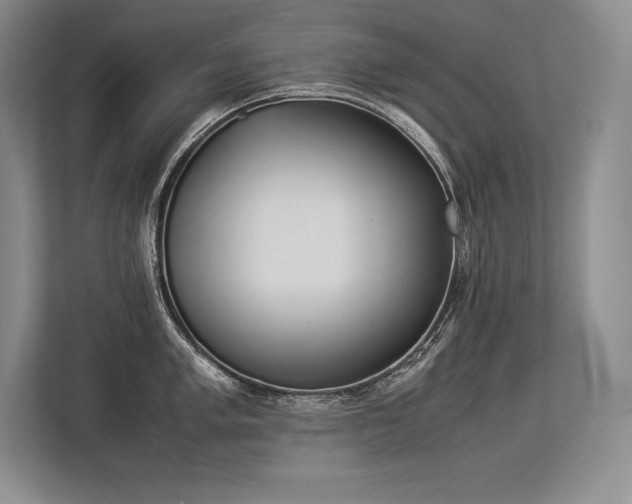 X0000113351005200909221140