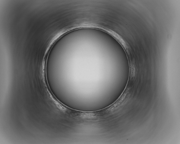 X0000113351006200909221140