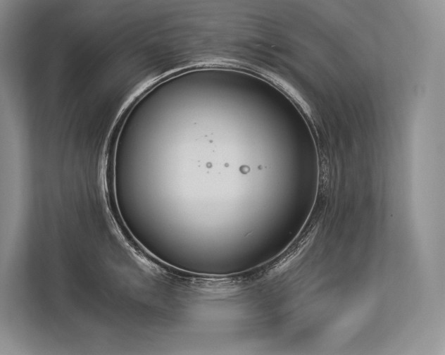 X0000113351007200909221140
