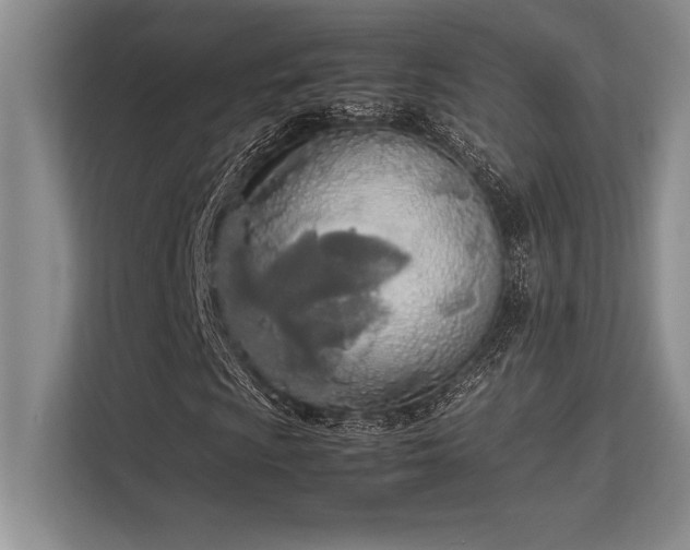 X0000113351009200909221139