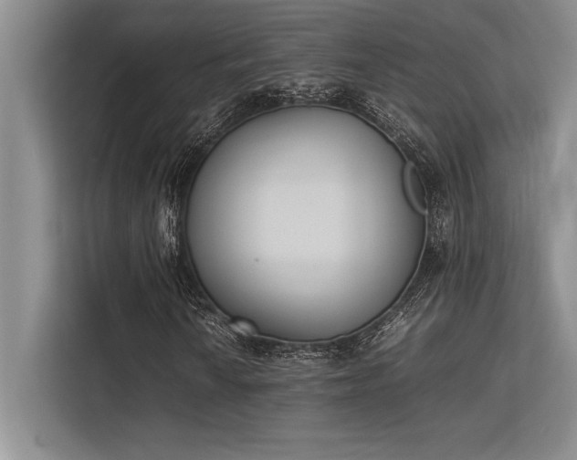 X0000113351010200909221139