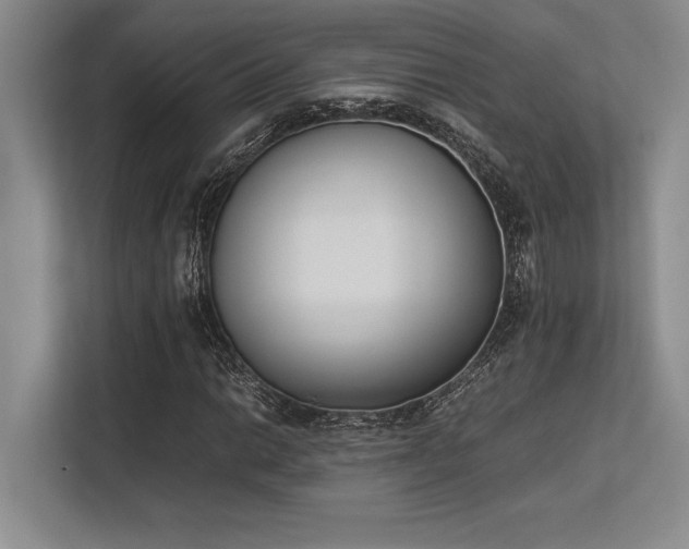 X0000113351014200909221139