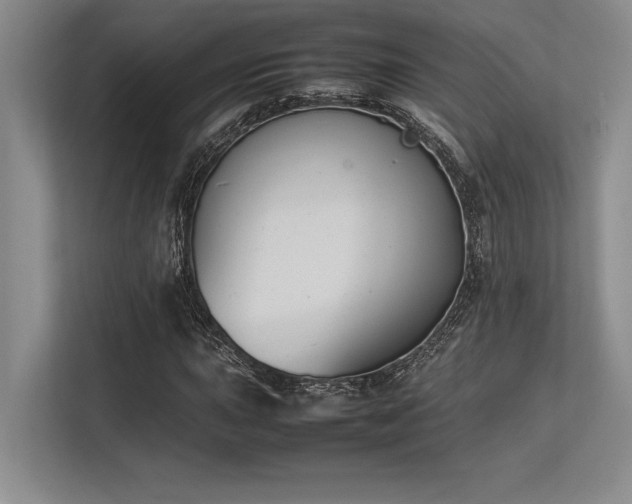 X0000113351015200909221139