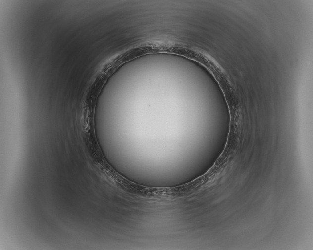 X0000113351016200909221139