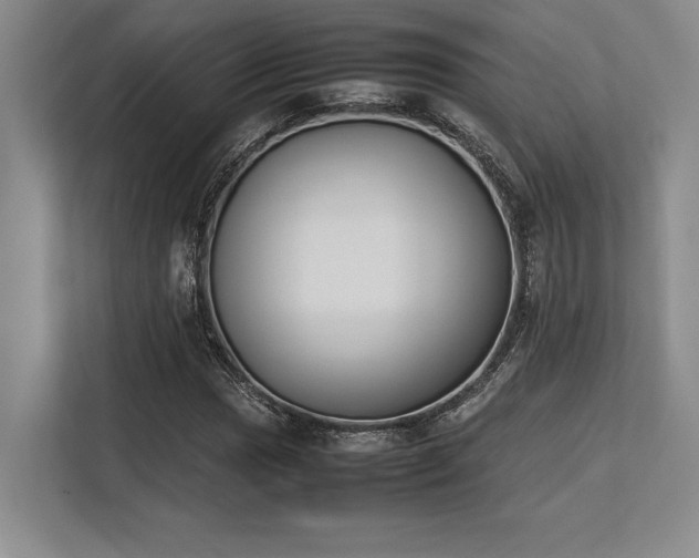 X0000113351017200909221139