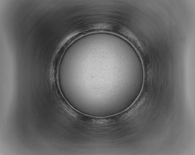 X0000113351019200909221139