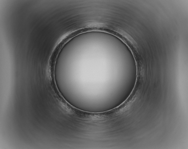 X0000113351022200909221139