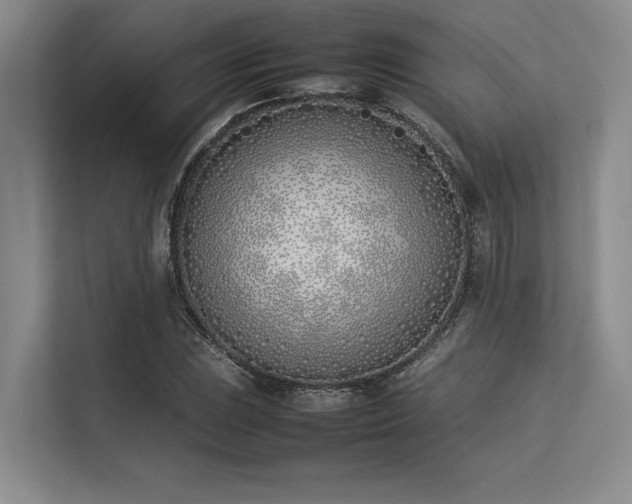 X0000113351023200909221139
