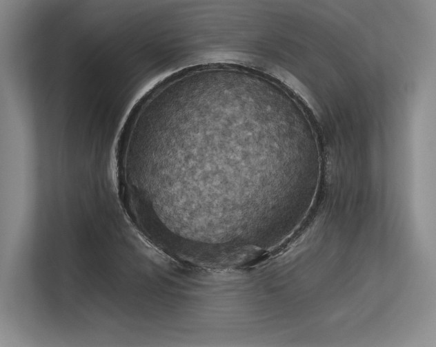 X0000113351024200909221139