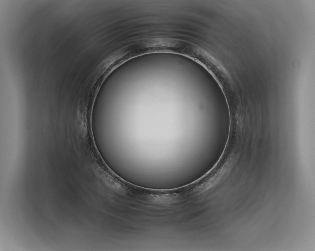 X0000113351025200909221139