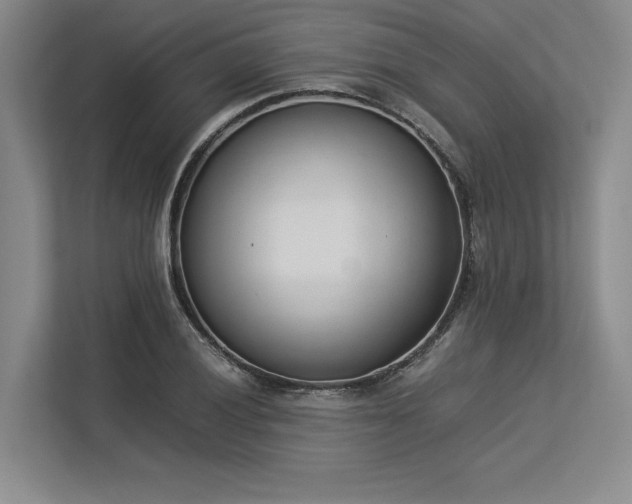 X0000113351028200909221139
