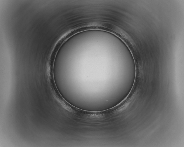 X0000113351029200909221139