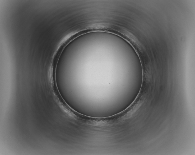 X0000113351030200909221139