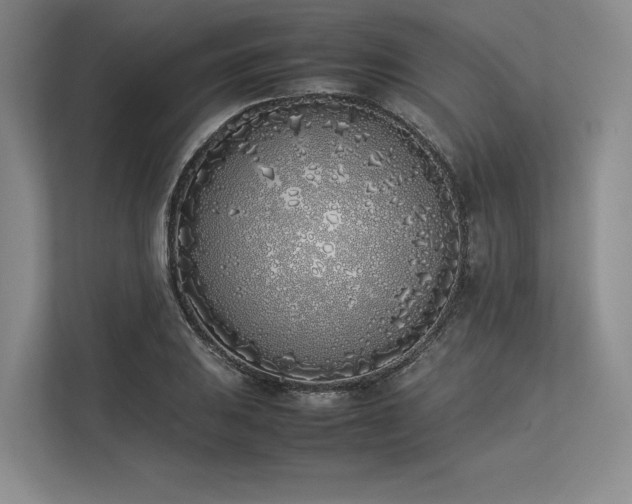 X0000113351031200909221139