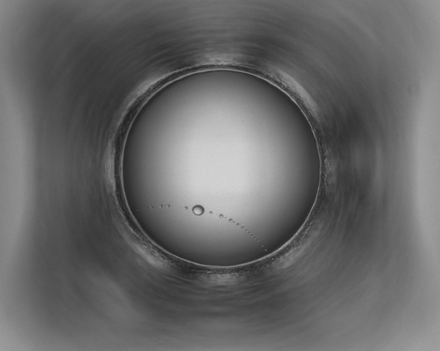 X0000113351035200909221139