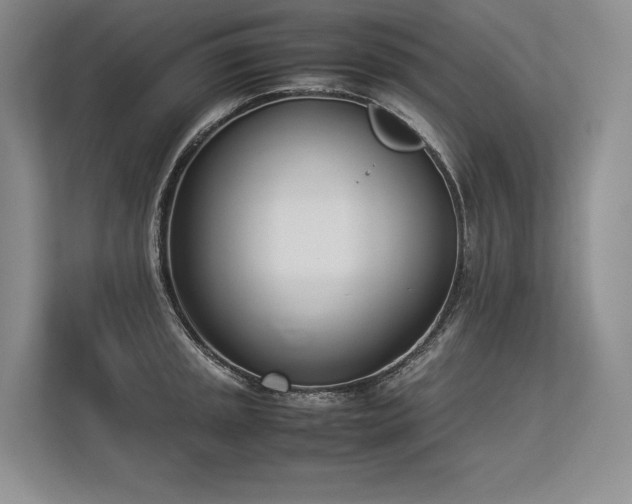 X0000113351045200909221140