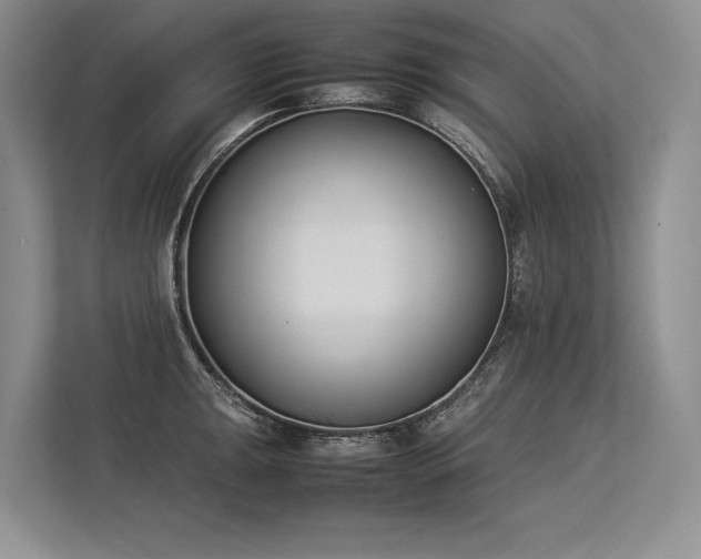 X0000113351047200909221140