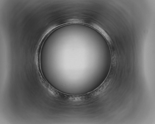 X0000113351051200909221140