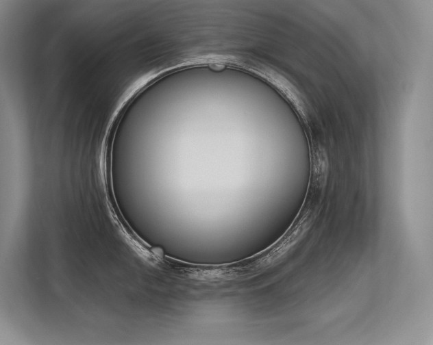 X0000113351054200909221140