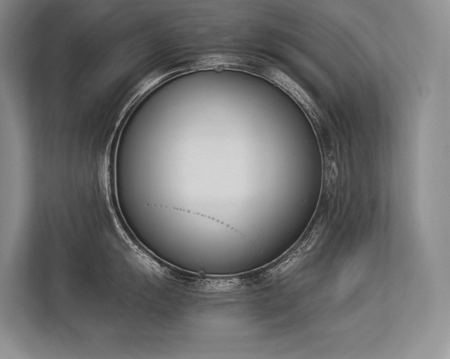 X0000113351055200909221140