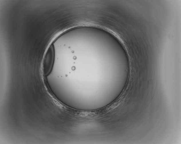 X0000113351056200909221140