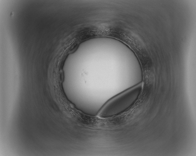X0000113351057200909221139