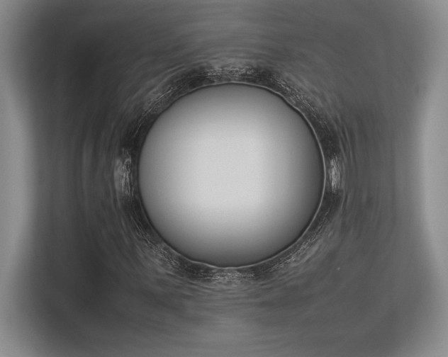 X0000113351059200909221139