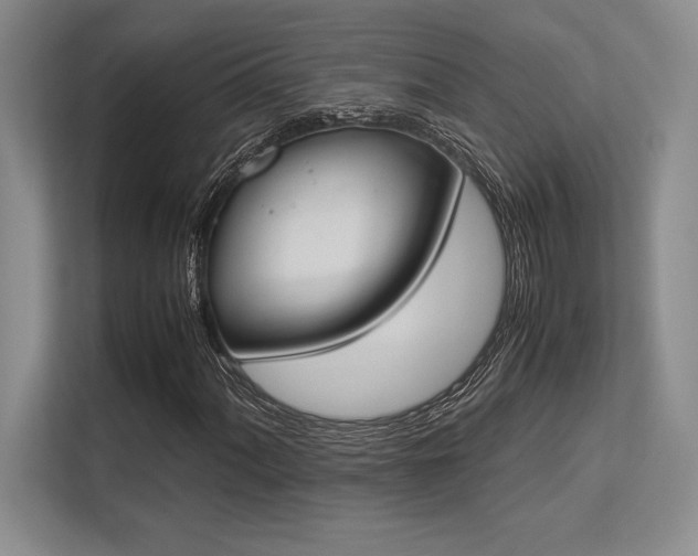 X0000113351060200909221139
