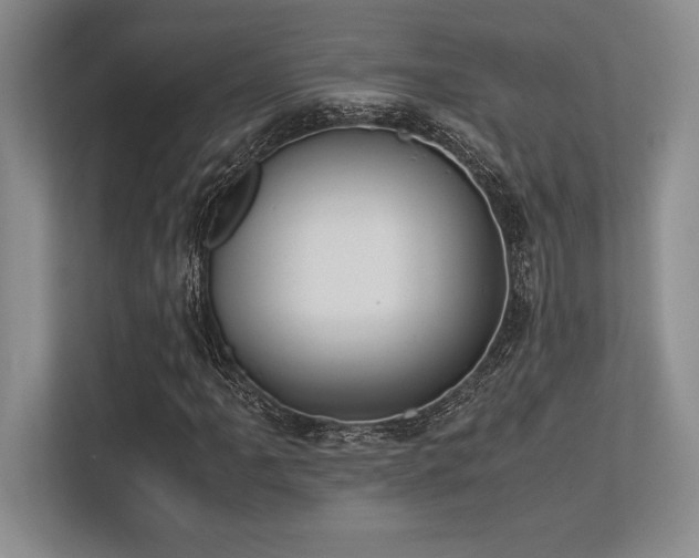 X0000113351061200909221139