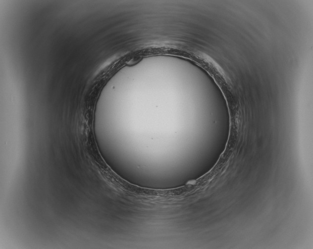 X0000113351064200909221139