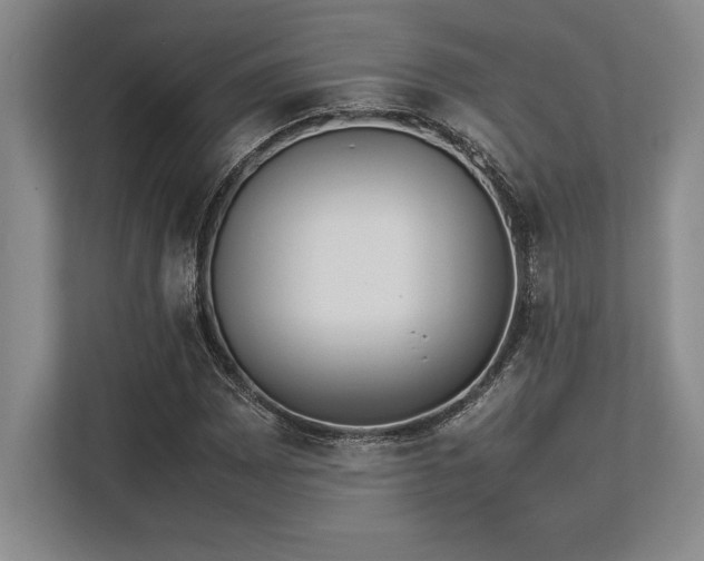 X0000113351065200909221139