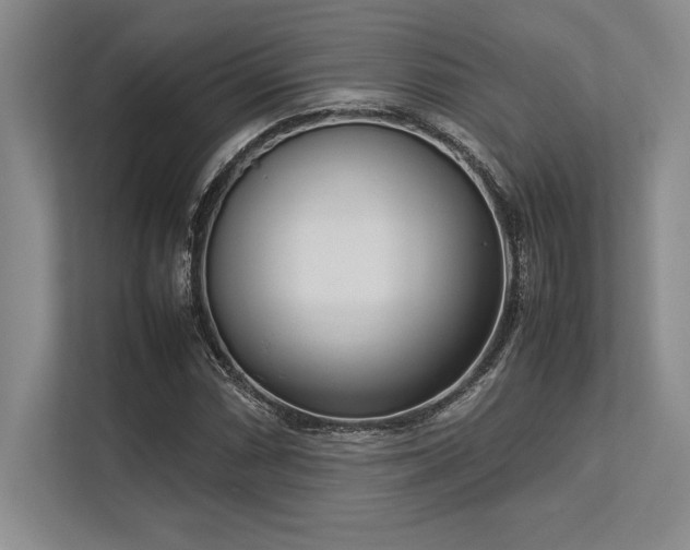 X0000113351066200909221139