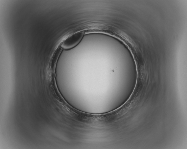 X0000113351067200909221139