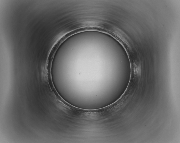 X0000113351068200909221139