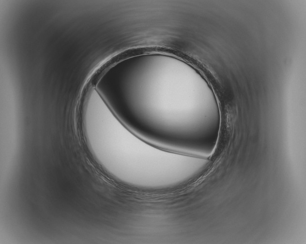 X0000113351069200909221139
