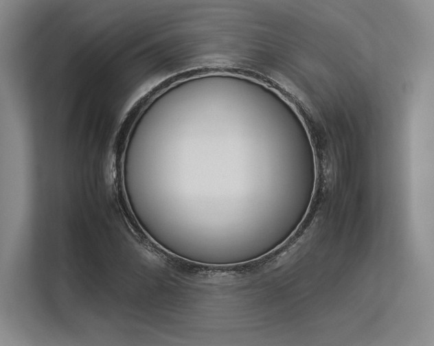 X0000113351070200909221139
