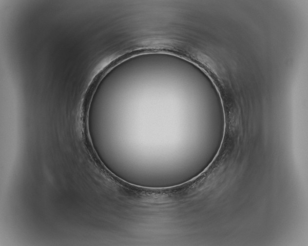 X0000113351071200909221139
