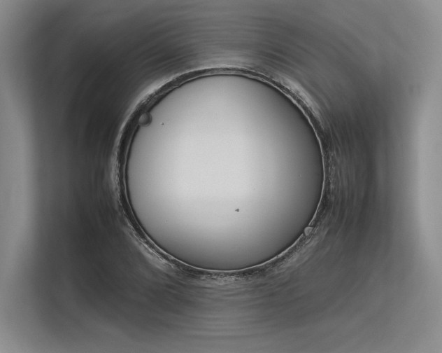 X0000113351072200909221139