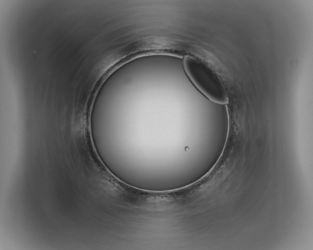X0000113351073200909221139
